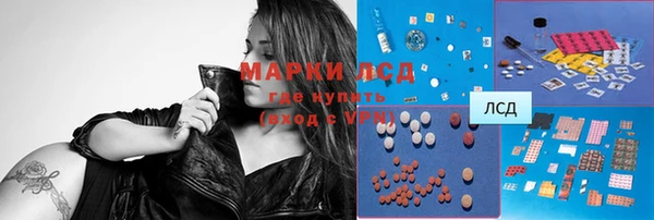 spice Алзамай