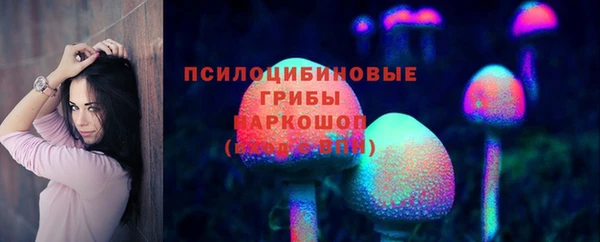 героин Алексин