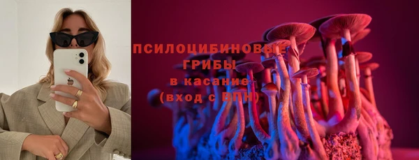 молекула духа Семилуки