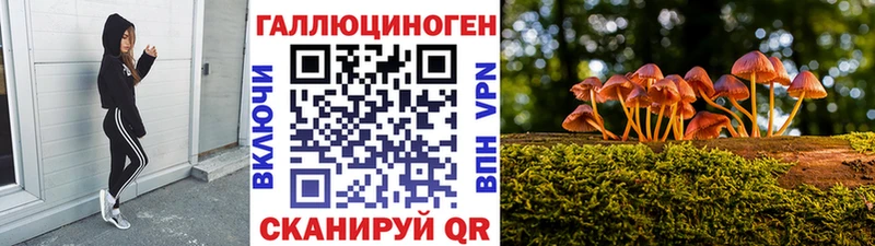 Галлюциногенные грибы Psilocybe Берёзовский